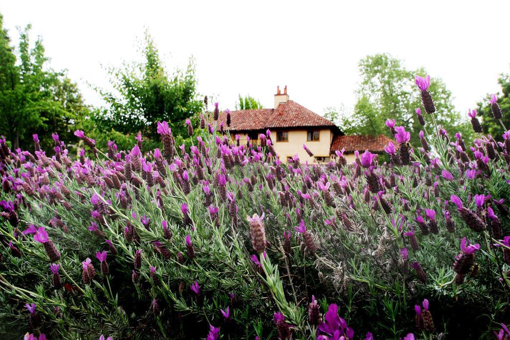 Rancho Caymus Inn Rutherford Zewnętrze zdjęcie